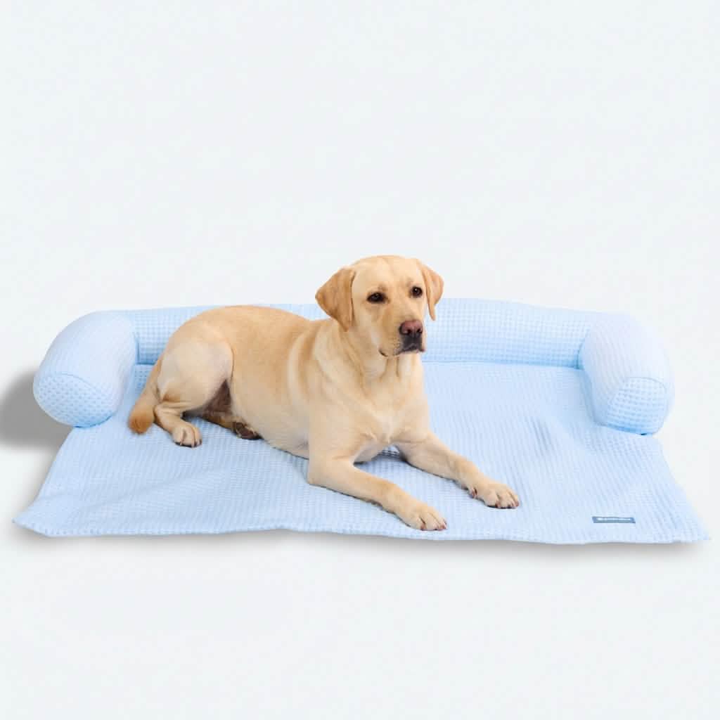 Dog Bed